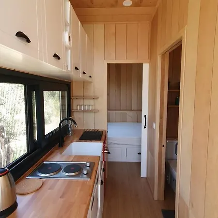 Modern Tiny House Surrounded By Olive Trees In Ayvacik Apartment *