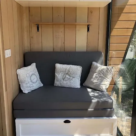 Modern Tiny House Surrounded By Olive Trees In Ayvacik Kucukkuyu