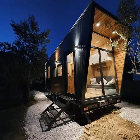 Modern Tiny House Surrounded By Olive Trees In Ayvacik *