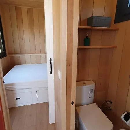 Apartment Modern Tiny House Surrounded By Olive Trees In Ayvacik