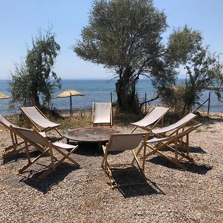 Modern Tiny House Surrounded By Olive Trees In Ayvacik Apartment Kucukkuyu