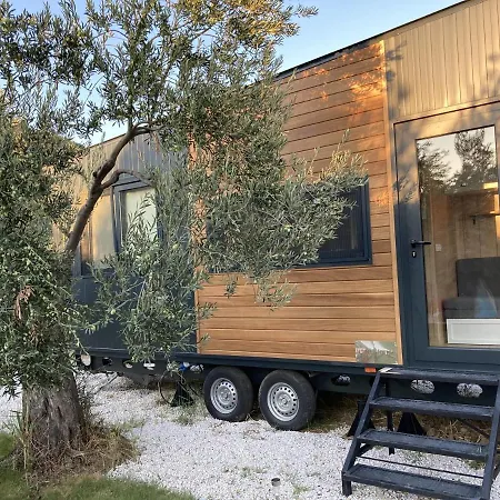 Modern Tiny House Surrounded By Olive Trees In Ayvacik *