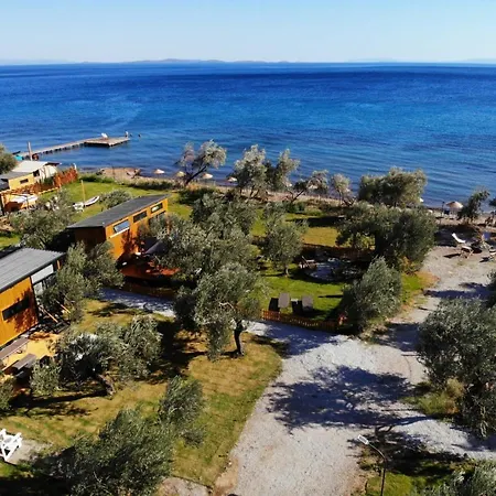 Apartment Modern Tiny House Surrounded By Olive Trees In Ayvacik