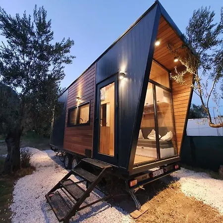 Modern Tiny House Surrounded By Olive Trees In Ayvacik Apartment *