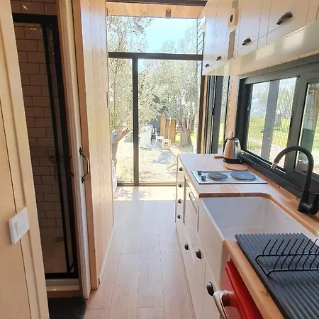 Modern Tiny House Surrounded By Olive Trees In Ayvacik Apartment
