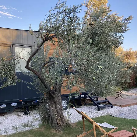 Apartment Modern Tiny House Surrounded By Olive Trees In Ayvacik *